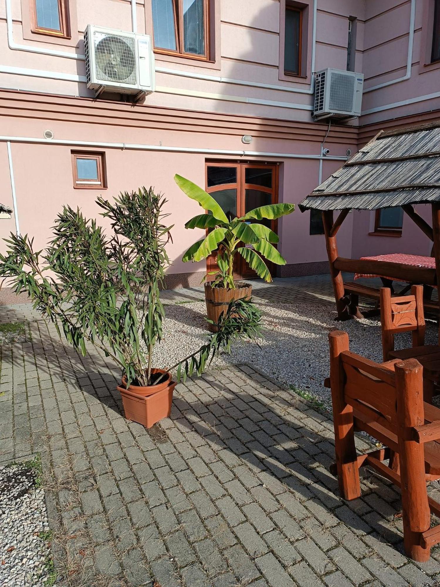 Bed and Breakfast Malom Panzió Kiskunfélegyháza Exterior foto